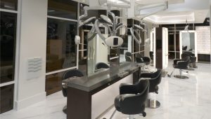 Monaco Hair Extensions Salon South Tampa